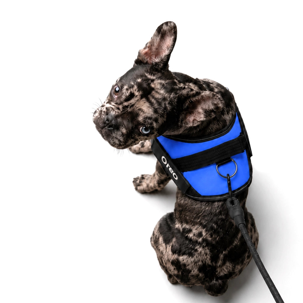 Pettorina BauIdentity™