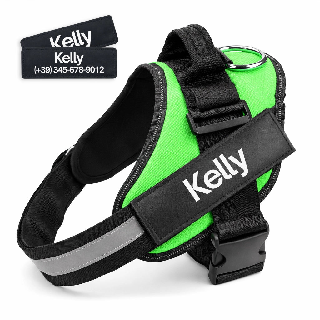 Pettorina verde personalizzata per cane con ricamo nome personalizzato