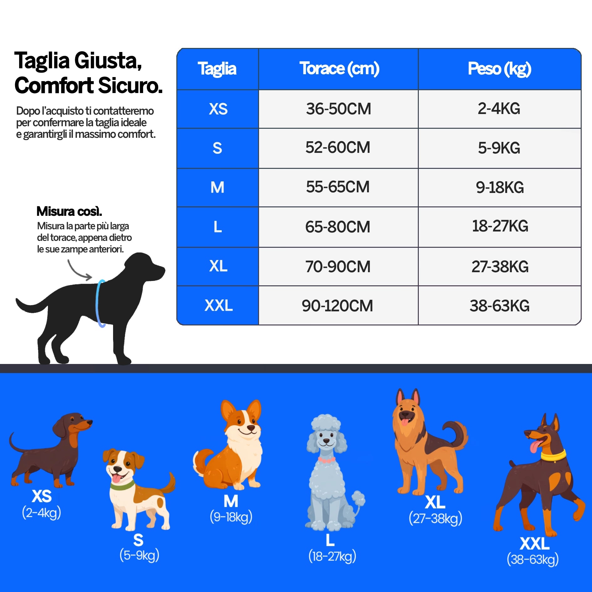 Guida taglie pettorina personalizzata per cane con misure torace e peso