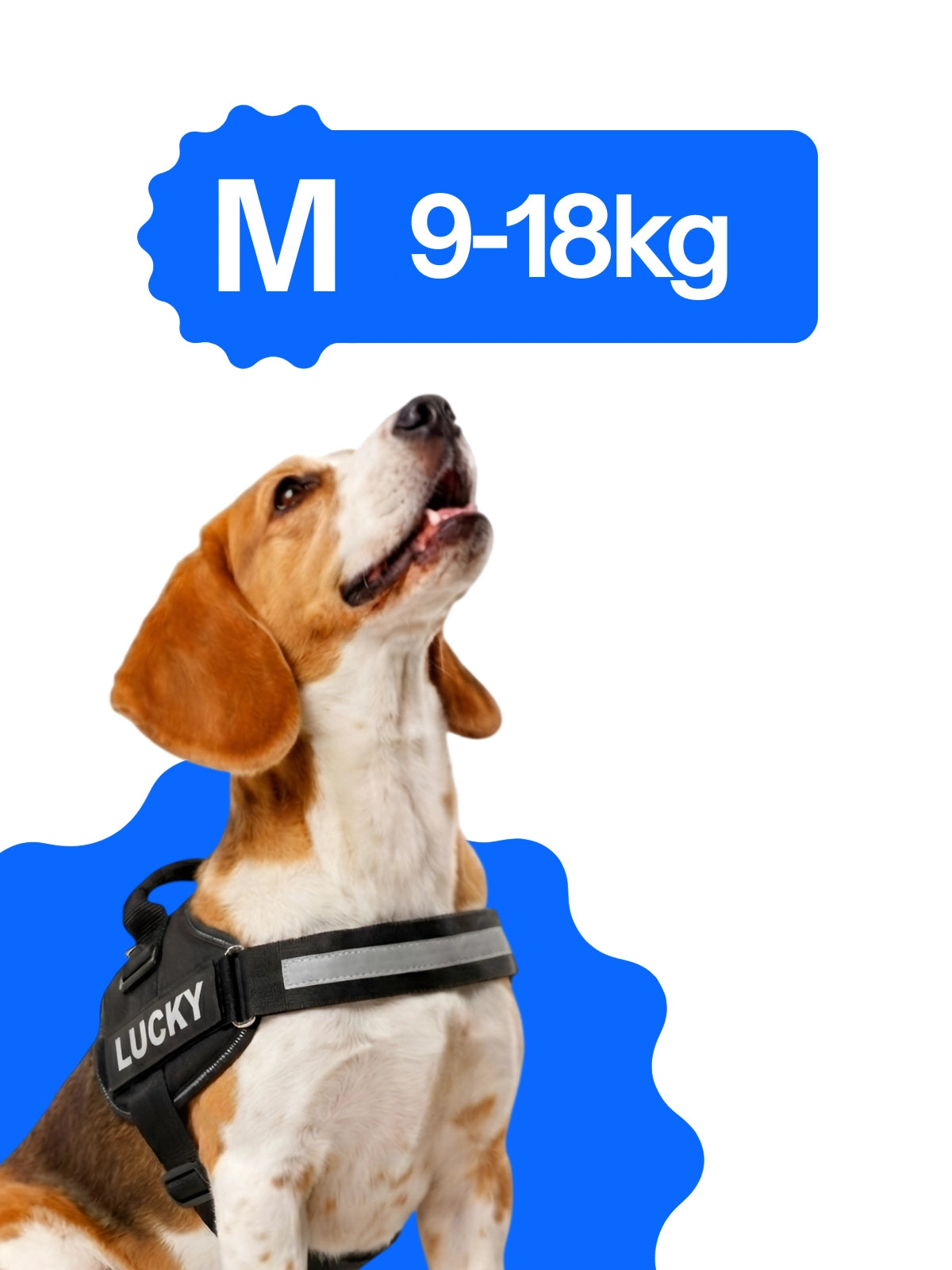 Pettorina anti tiraggio cane taglia M 9-18 kg BauUniverso per Beagle, Cocker Spaniel e Border Collie