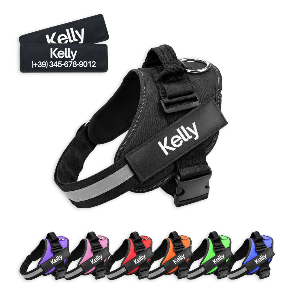 Pettorina personalizzata per cane disponibile nei colori viola rosa rosso arancione verde blu e nero
