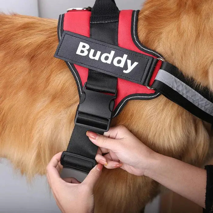 BauUniverso™ Pettorina Personalizzabile Il mio negozio