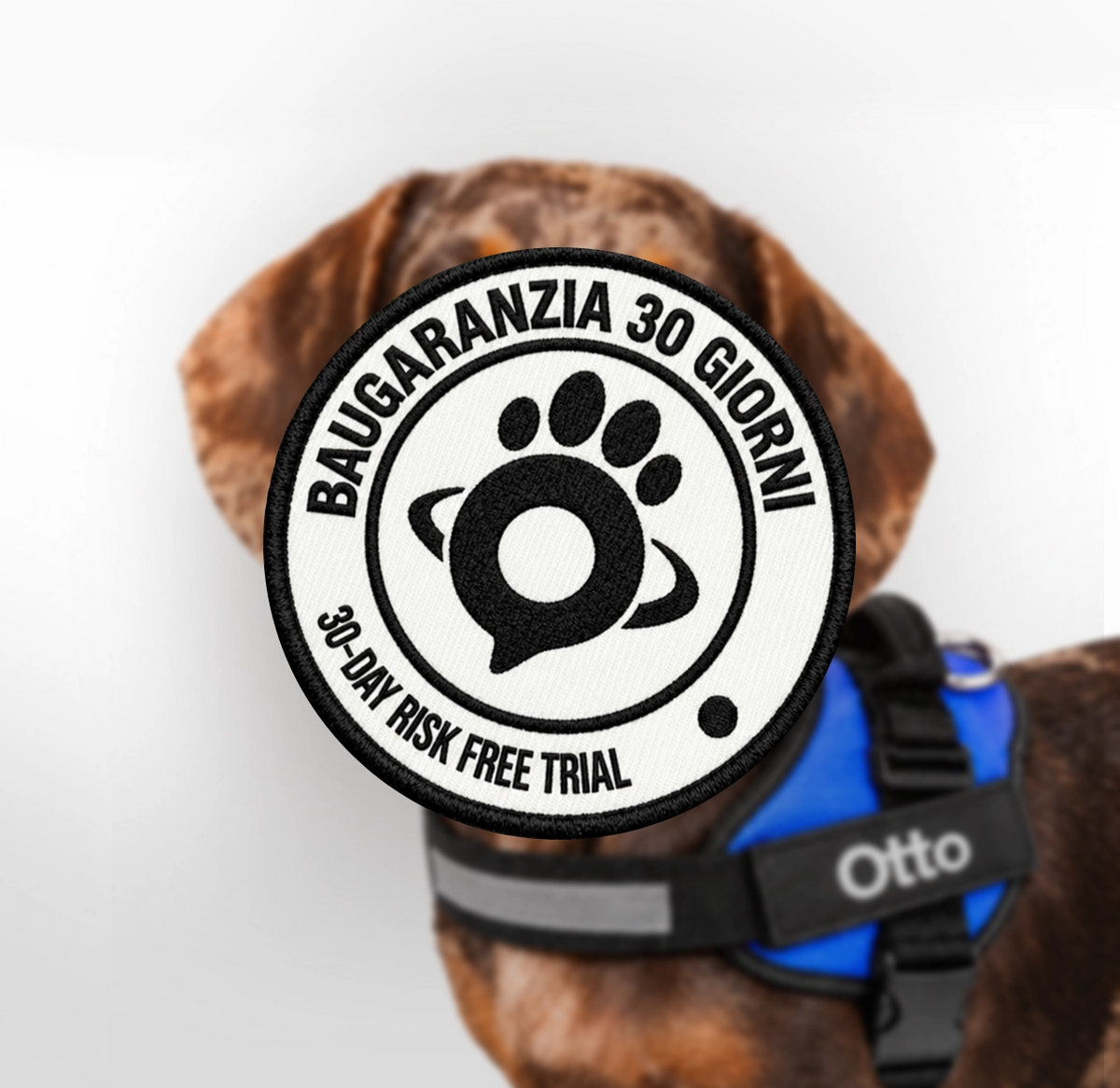 Pettorina BauIdentity™