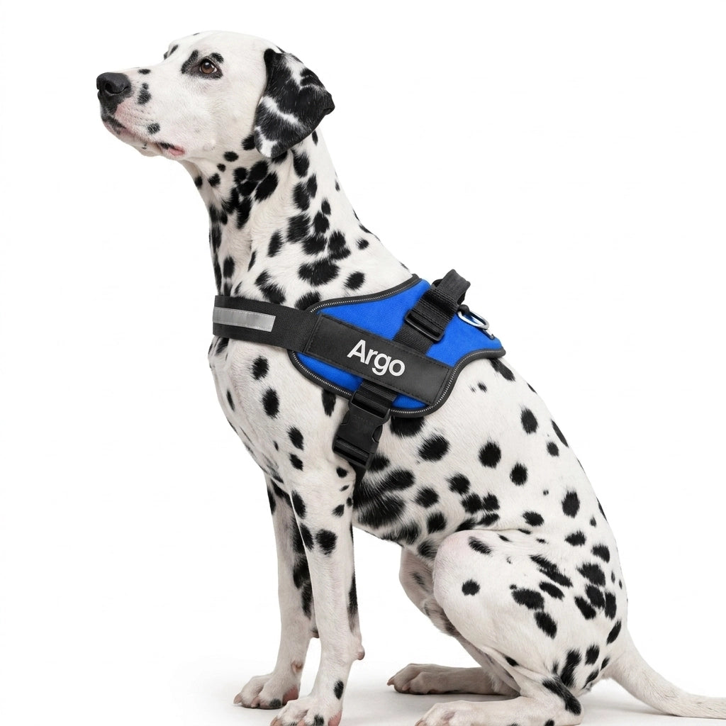 Pettorina BauIdentity™