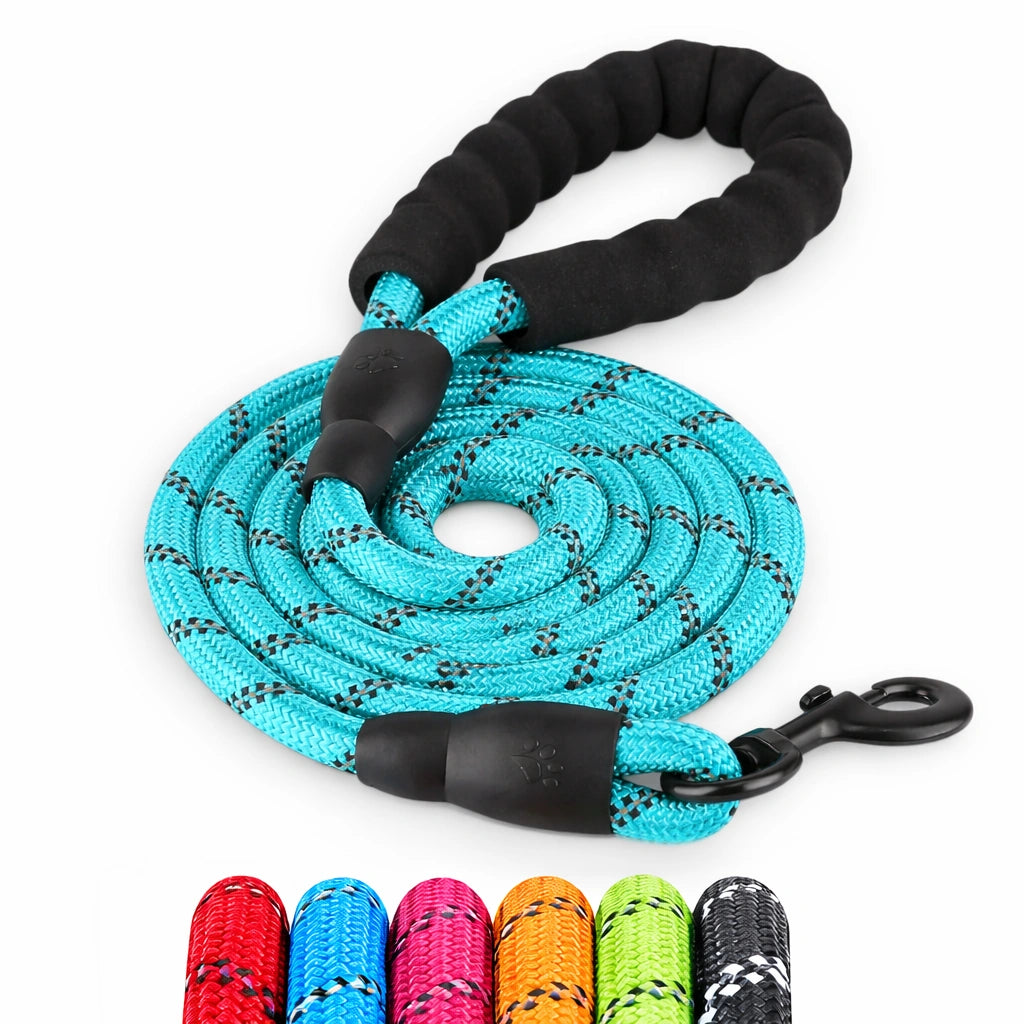 Guinzaglio per cane celeste retroriflettente con sistema no pull elastico