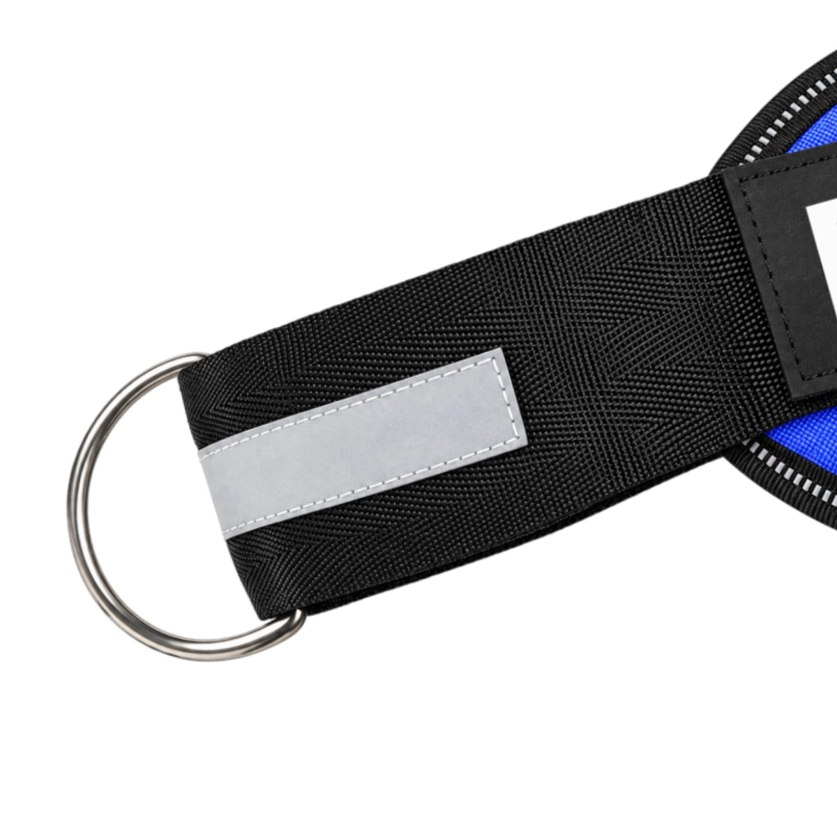 BauRing™ Aggancio Frontale (GRATUITO)