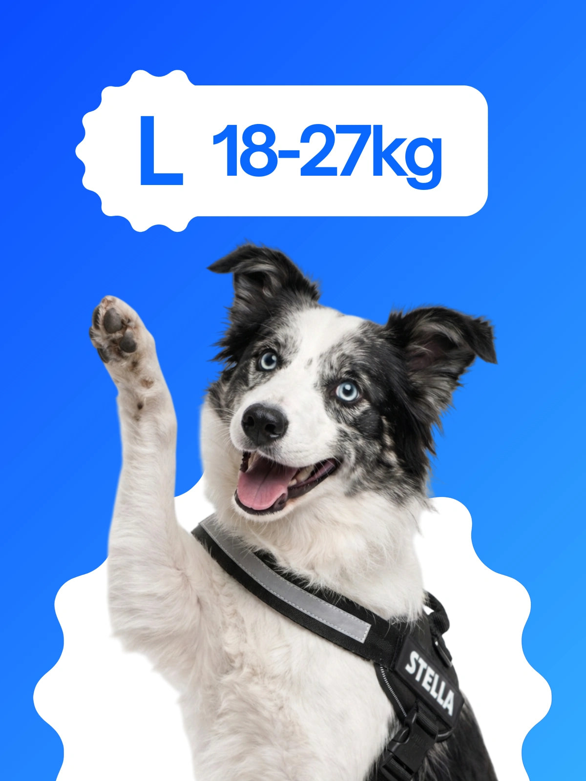 Pettorina cane taglia L 18-27 kg BauUniverso ideale per Labrador, Setter e Australian Shepherd