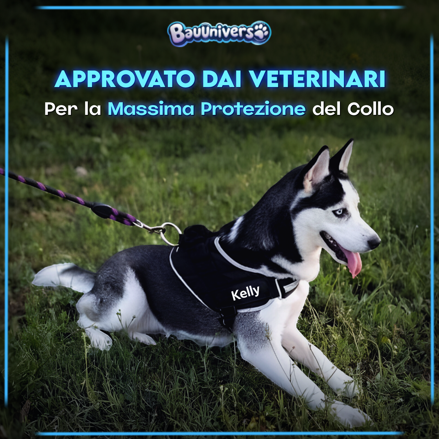 BauUniverso™ Pettorina Premium Personalizzabile