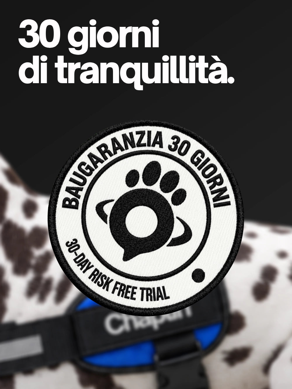 Scegliere BauUniverso, ha i suoi vantaggi.
