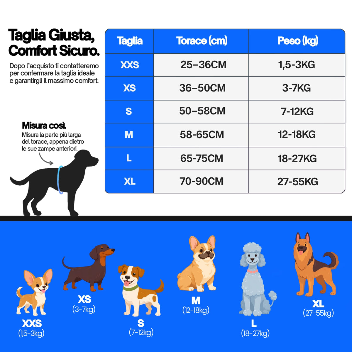 Pettorina BauIdentity™