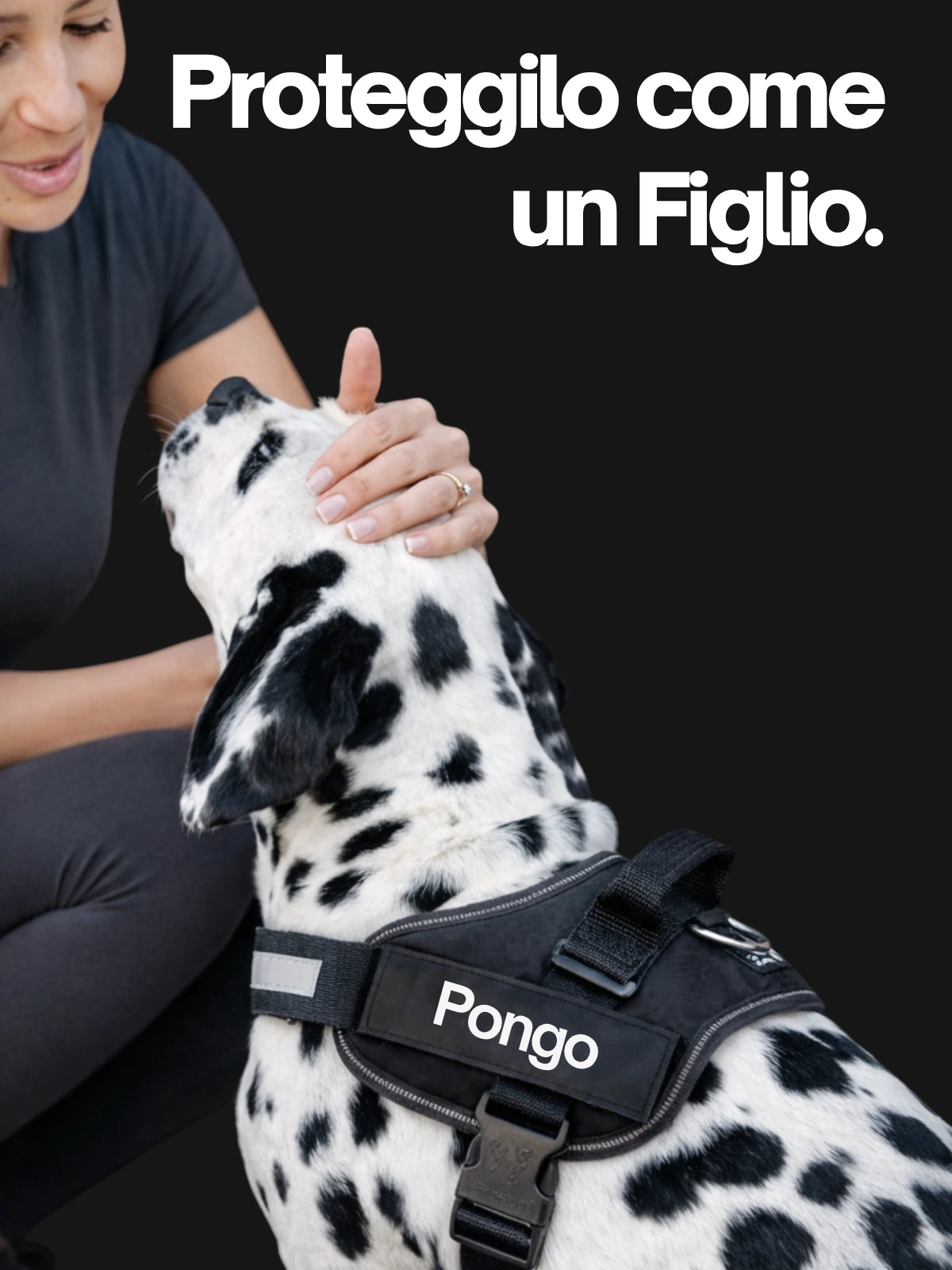 Pettorina cane con nome personalizzato BauUniverso per una protezione sicura e confortevole