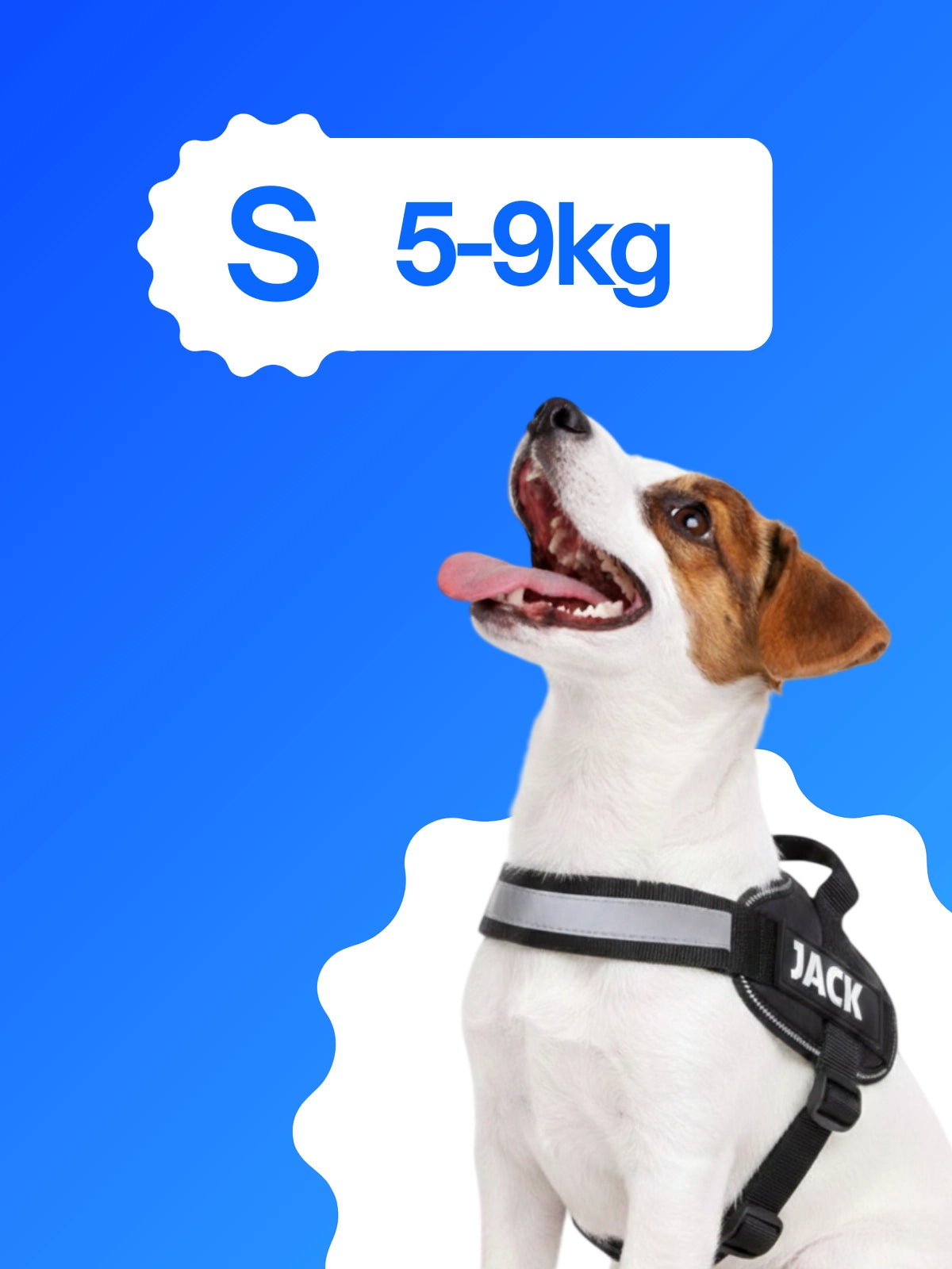 Pettorina cane taglia S 5-9 kg BauUniverso adatta a Jack Russell, Maltese e Barboncino nano