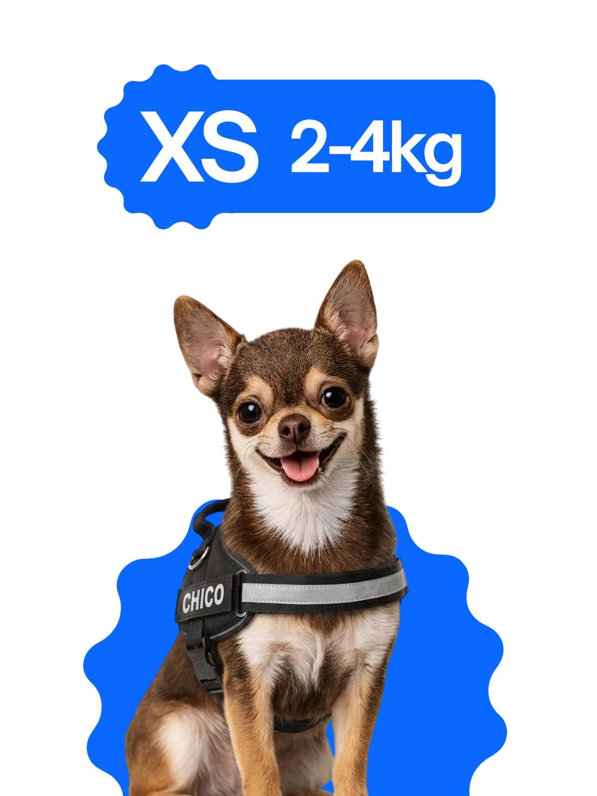 Pettorina personalizzata cane taglia XS 2-4 kg ideale per Chihuahua, Yorkshire e cani molto piccoli