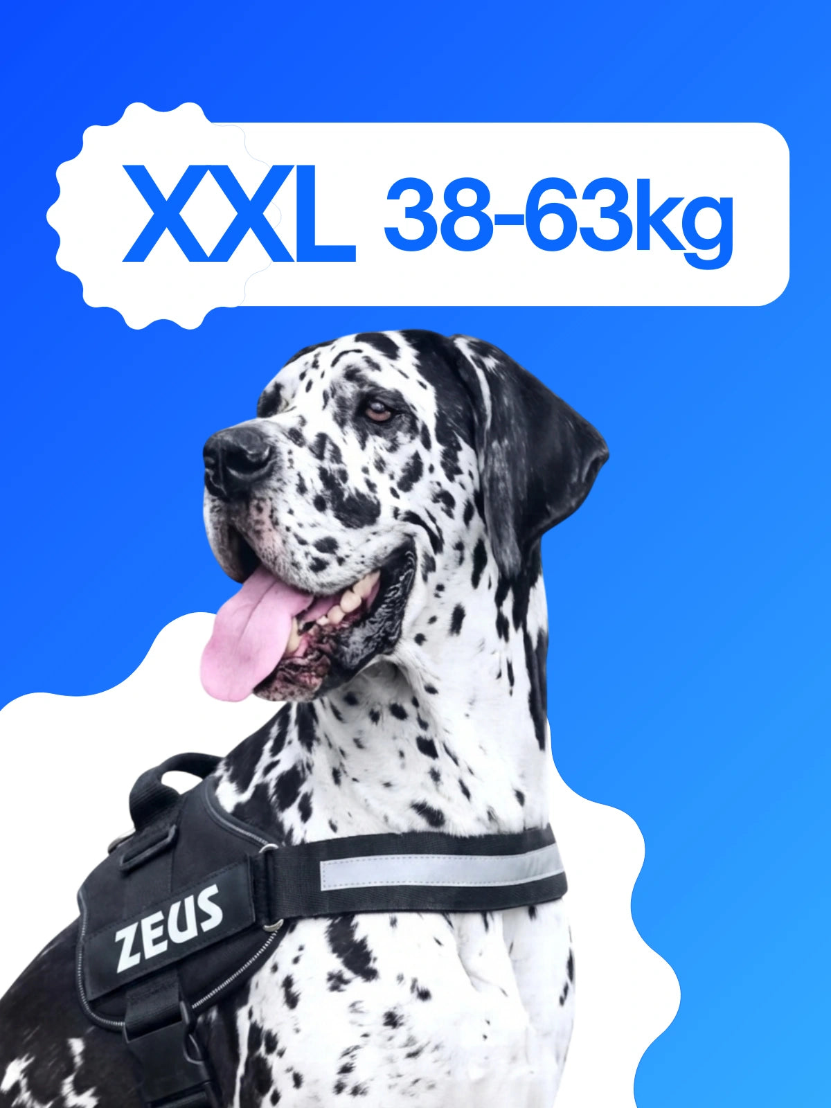 Pettorina cane taglia XXL 38-63 kg BauUniverso adatta a Rottweiler, Cane Corso e Alano