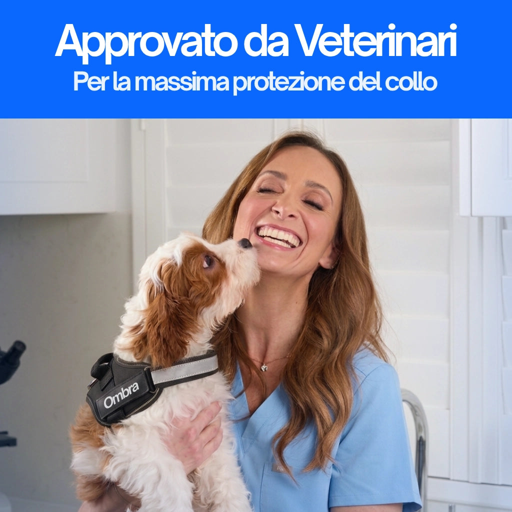 Pettorina BauIdentity™