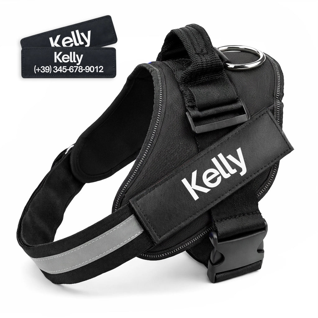 Pettorina personalizzata per cane con nome e numero colore nero BauUniverso™