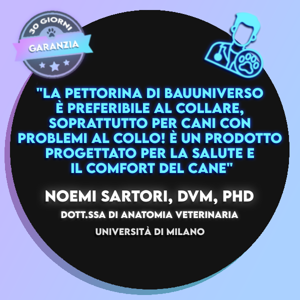 BauUniverso™ Pettorina Premium Personalizzabile