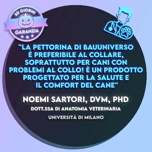 BauUniverso™ Pettorina Premium Personalizzabile
